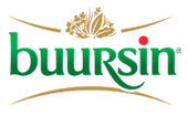 Buursin